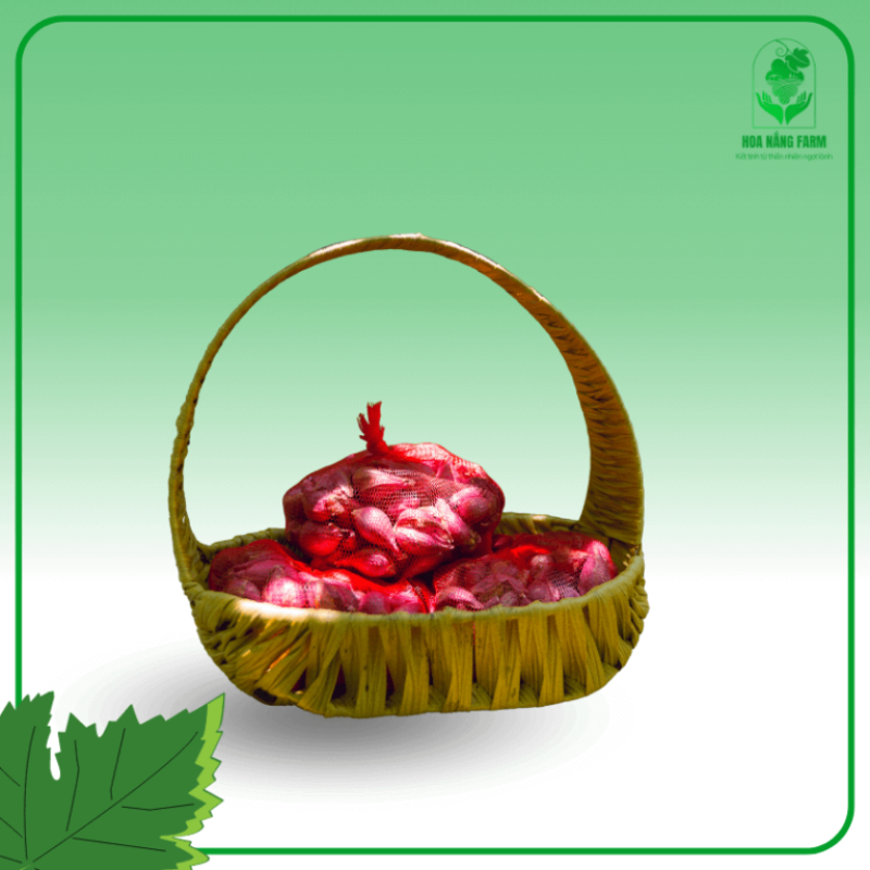 product-image-3